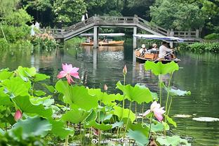 又是灰熊？王健：孟菲斯灰熊正在关注日本“库里”富永启生